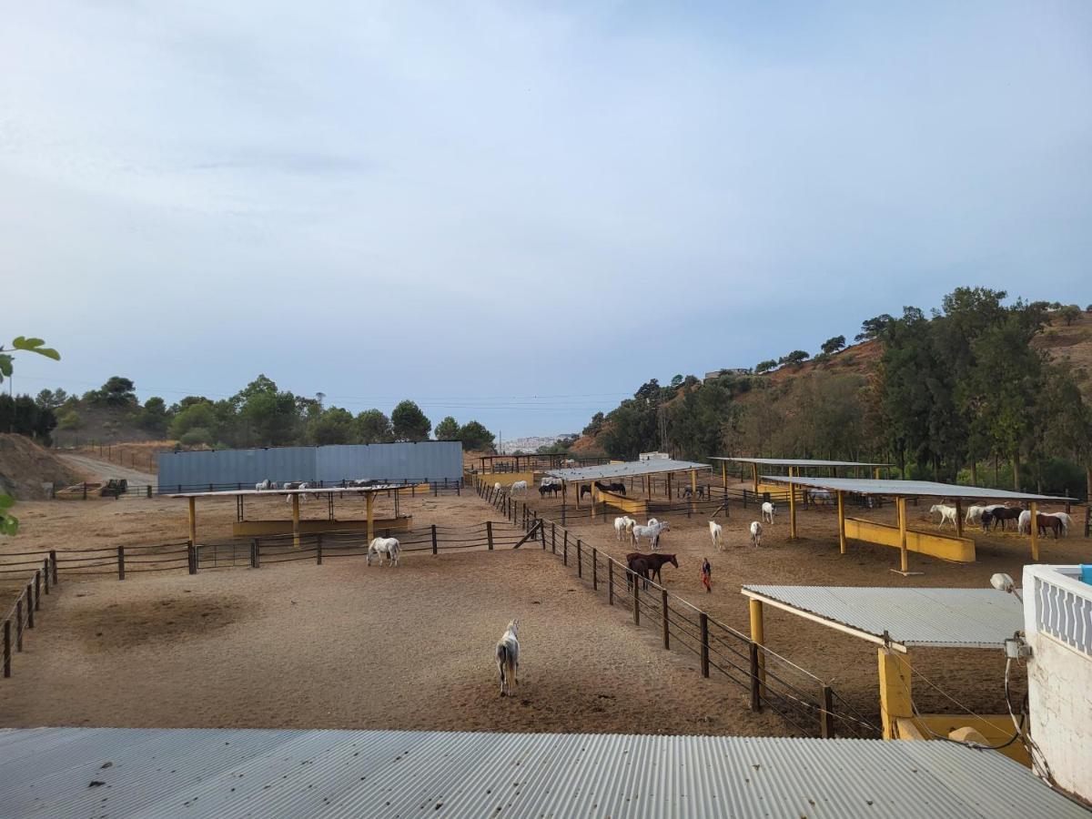 Finca Palmers Dos Mijas Luaran gambar