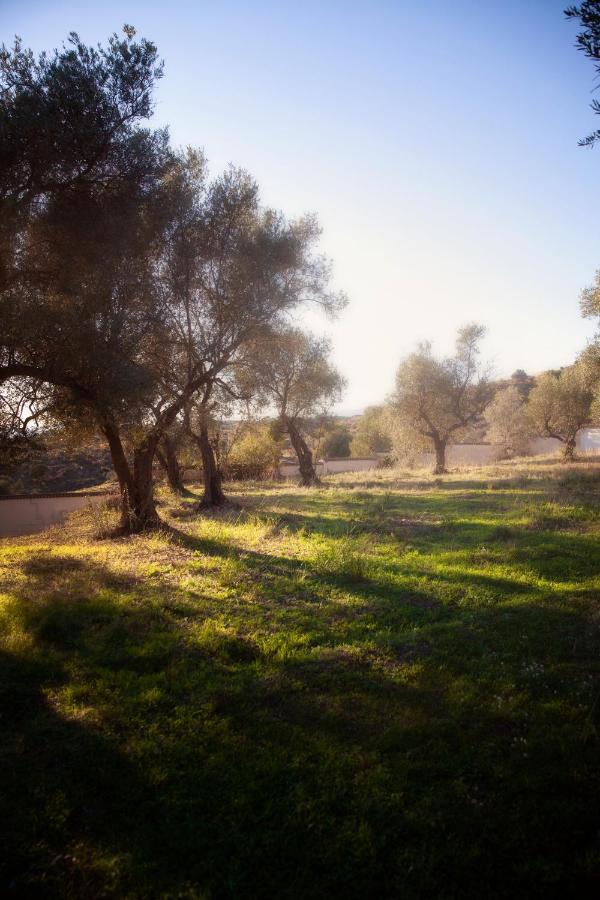Finca Palmers Dos Mijas Luaran gambar